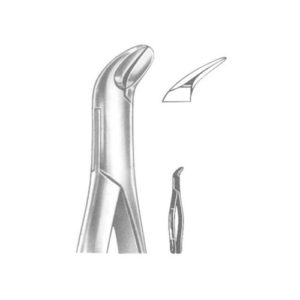 Tooth Extracting Forceps(American)